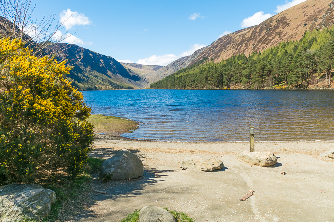Wicklow Mountains National Park Apr 2018 (032)